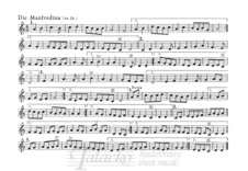 BA 3599_3.jpg